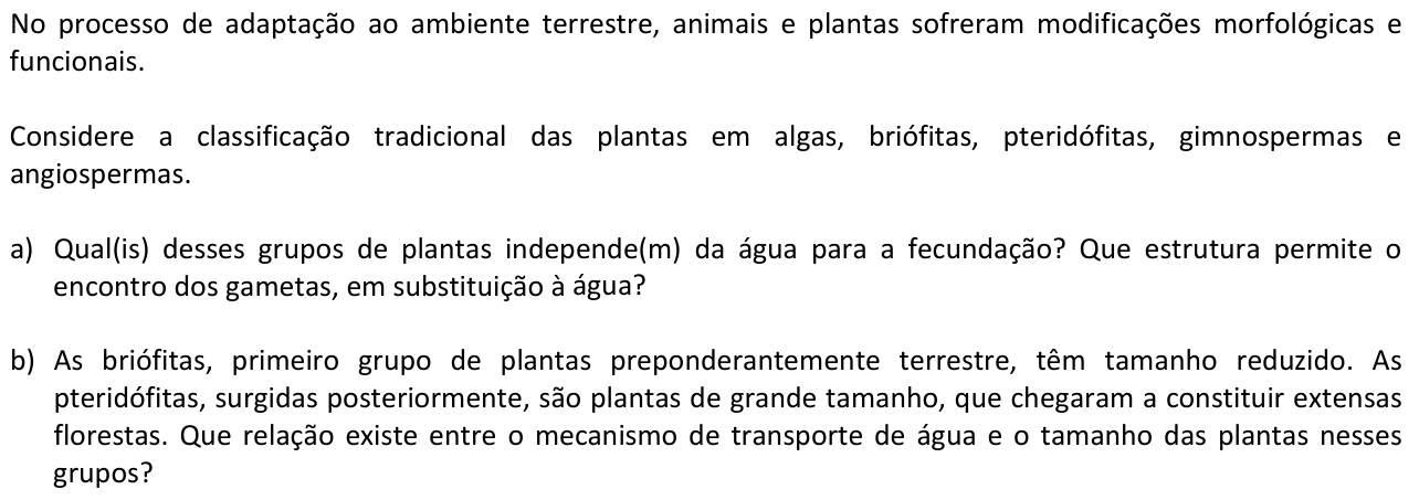 Questão B05 no caderno  da 2ª fase da FUVEST 2015