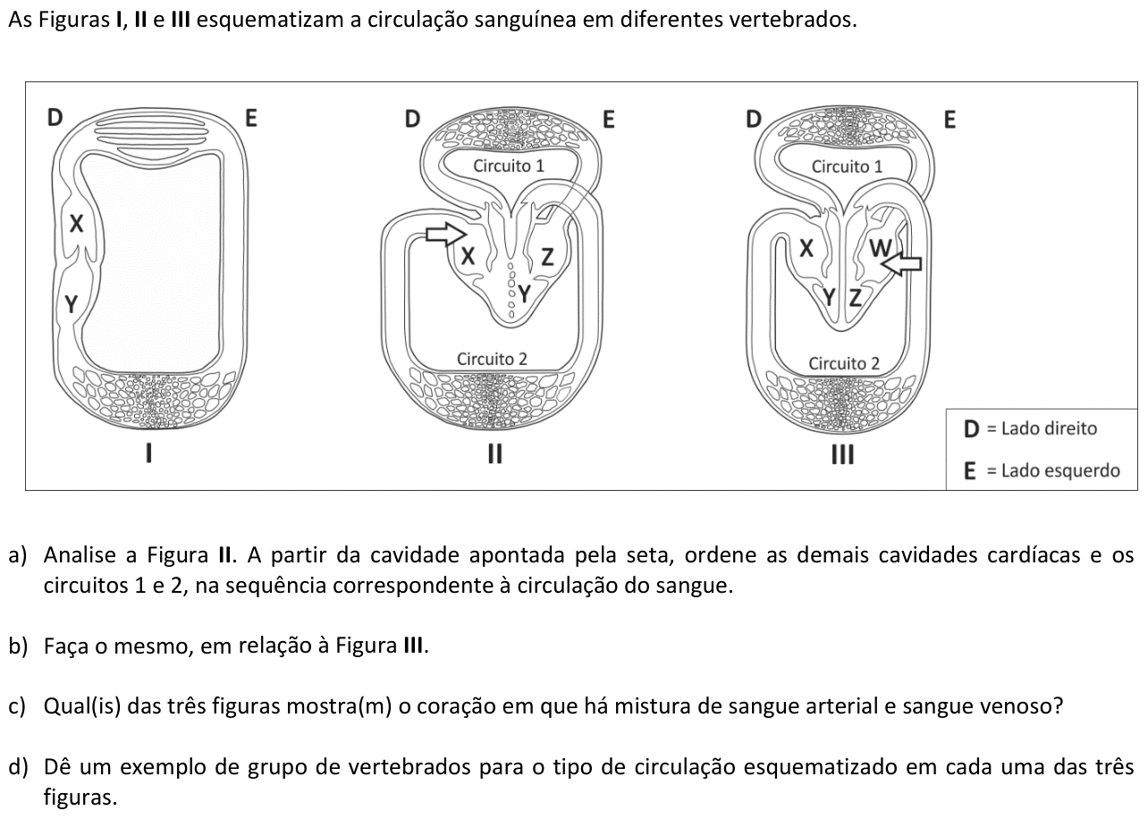 Questão B01 no caderno  da 2ª fase da FUVEST 2014