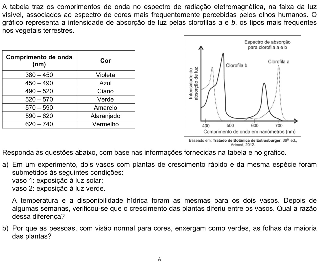 Questão 8 no caderno  da 2ª fase da FUVEST 2013