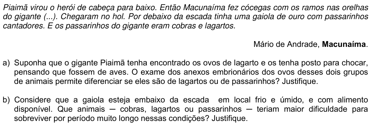 Questão B03 no caderno  da 2ª fase da FUVEST 2013