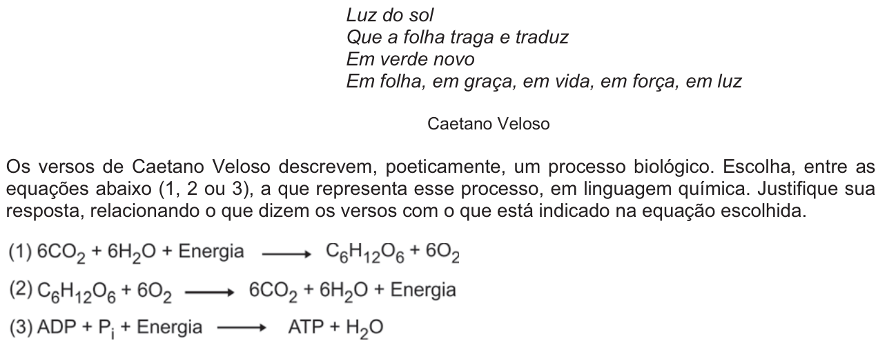 Questão 14 no caderno  da 2ª fase da FUVEST 2012
