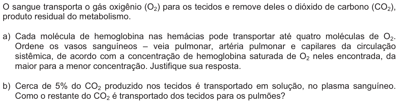 Questão B01 no caderno  da 2ª fase da FUVEST 2012