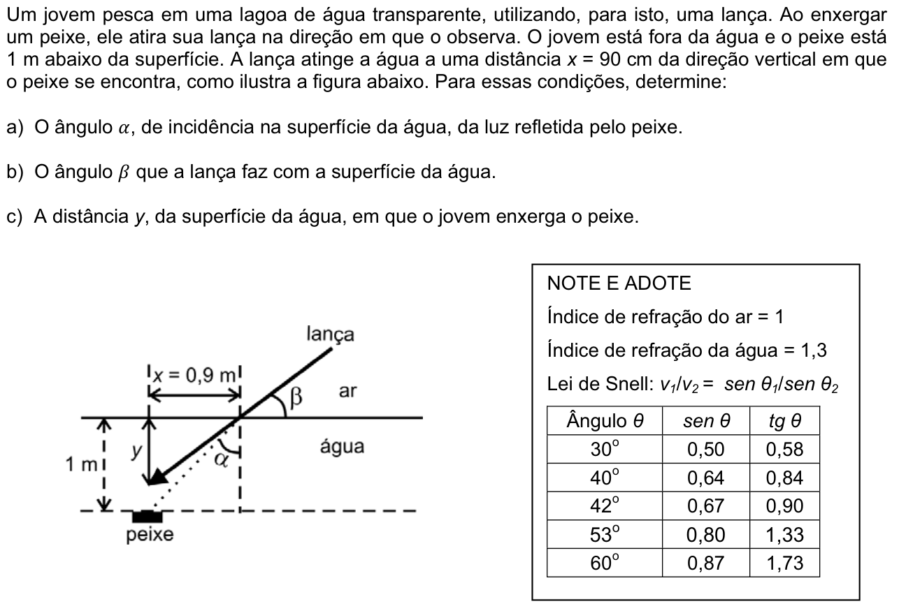 Questão F05 no caderno  da 2ª fase da FUVEST 2011