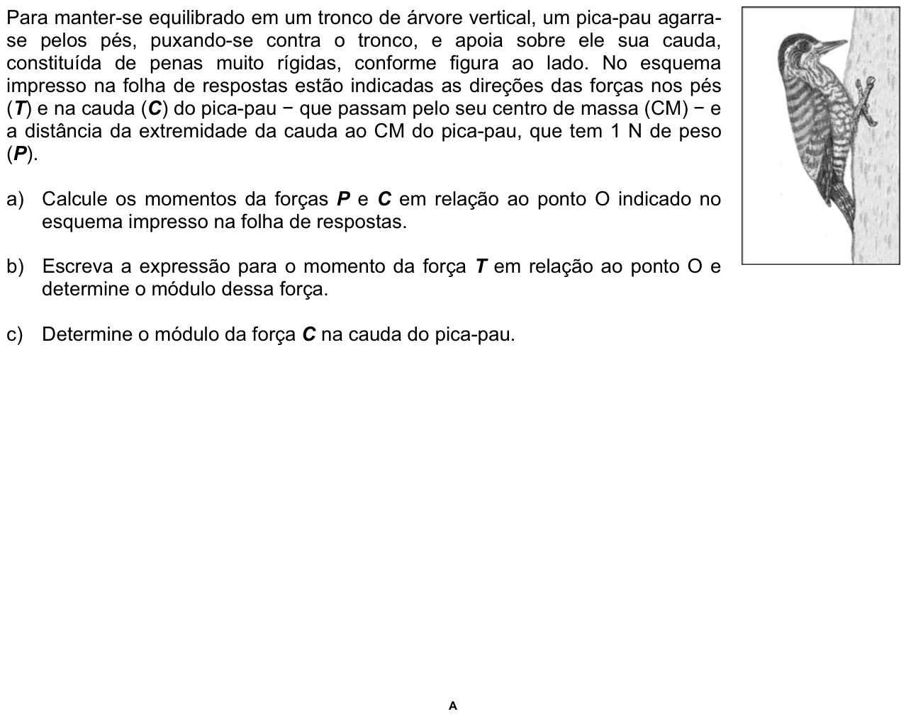 Questão F06 no caderno  da 2ª fase da FUVEST 2011