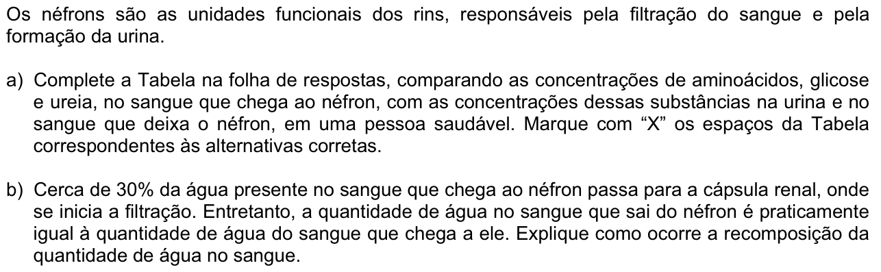 Questão B01 no caderno  da 2ª fase da FUVEST 2011