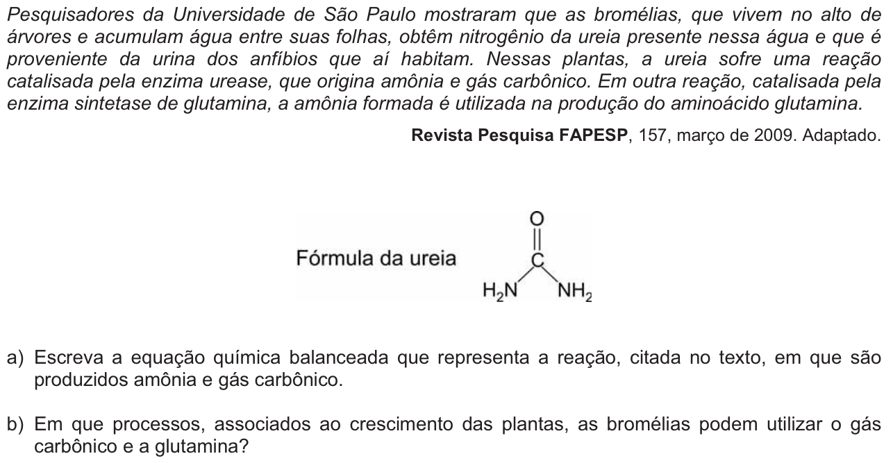 Questão 7 no caderno  da 2ª fase da FUVEST 2010