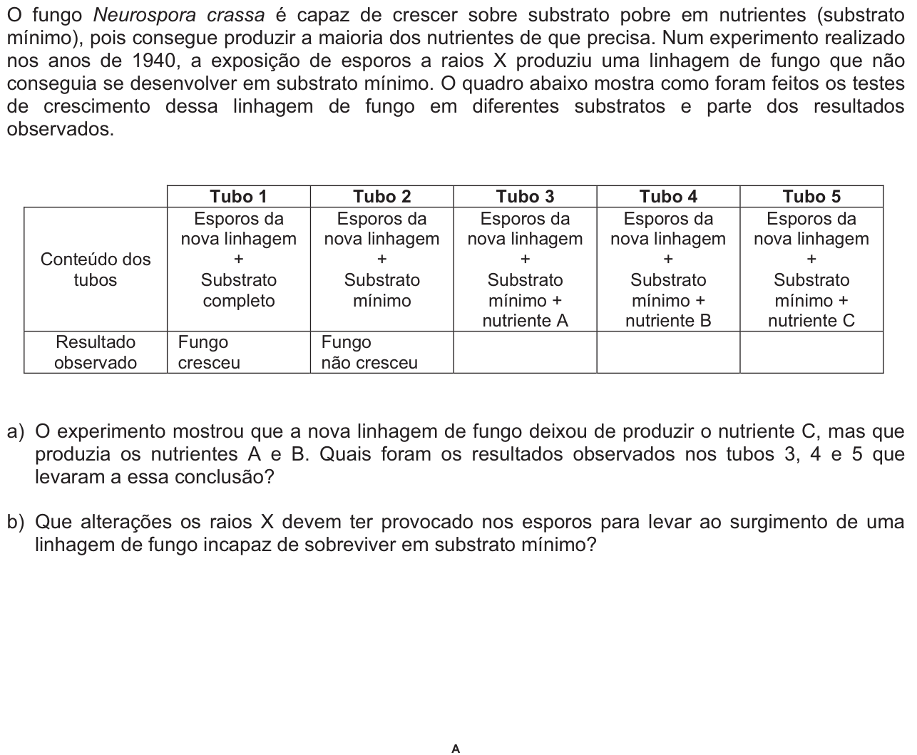 Questão 8 no caderno  da 2ª fase da FUVEST 2010