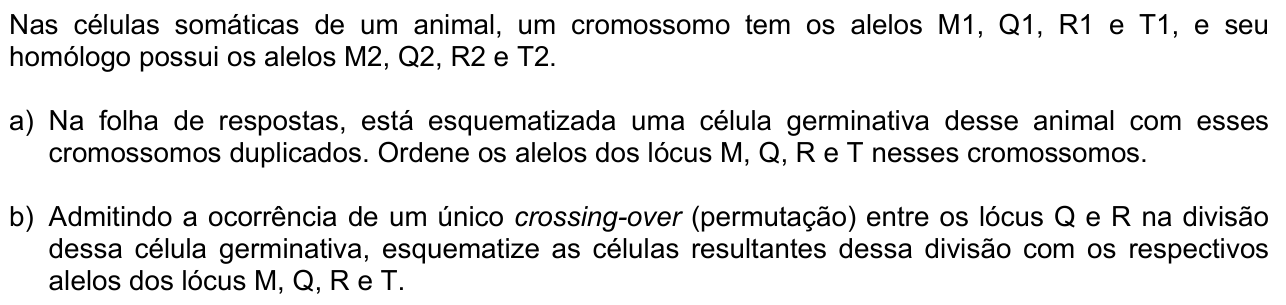 Questão B02 no caderno  da 2ª fase da FUVEST 2010