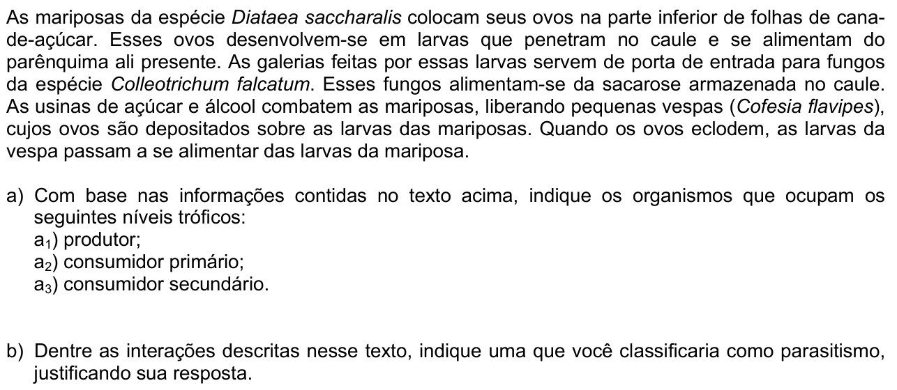 Questão B04 no caderno  da 2ª fase da FUVEST 2010