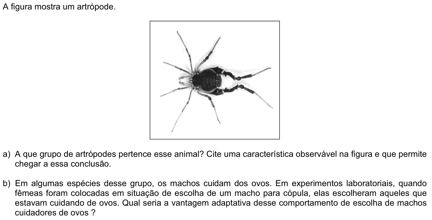 Questão B07 no caderno Biologia da 2ª fase da FUVEST 2009