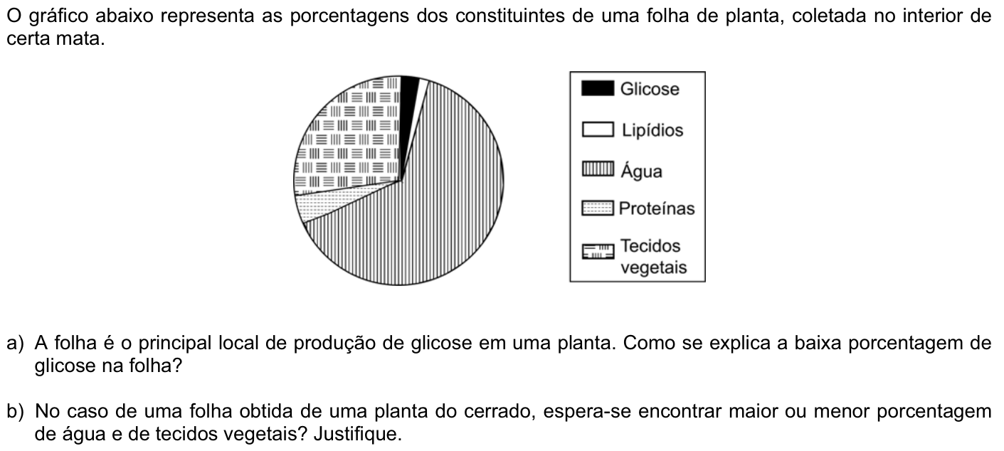 Questão B03 no caderno Biologia da 2ª fase da FUVEST 2008