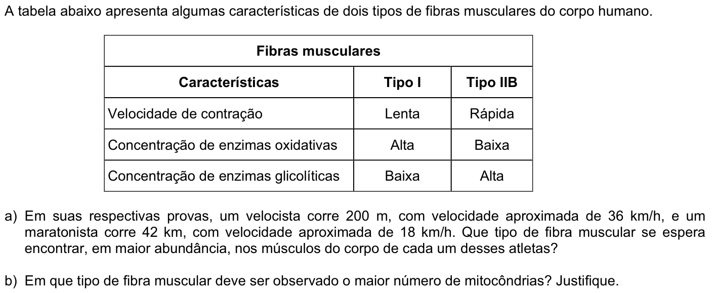 Questão B05 no caderno Biologia da 2ª fase da FUVEST 2008