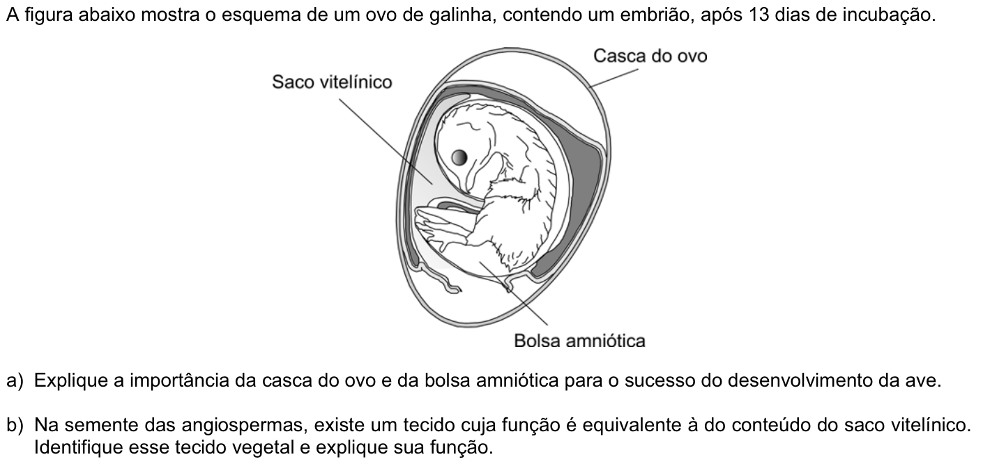 Questão B08 no caderno Biologia da 2ª fase da FUVEST 2008