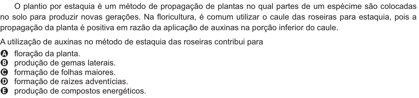 Questão 123 no caderno Amarelo do ENEM 2021