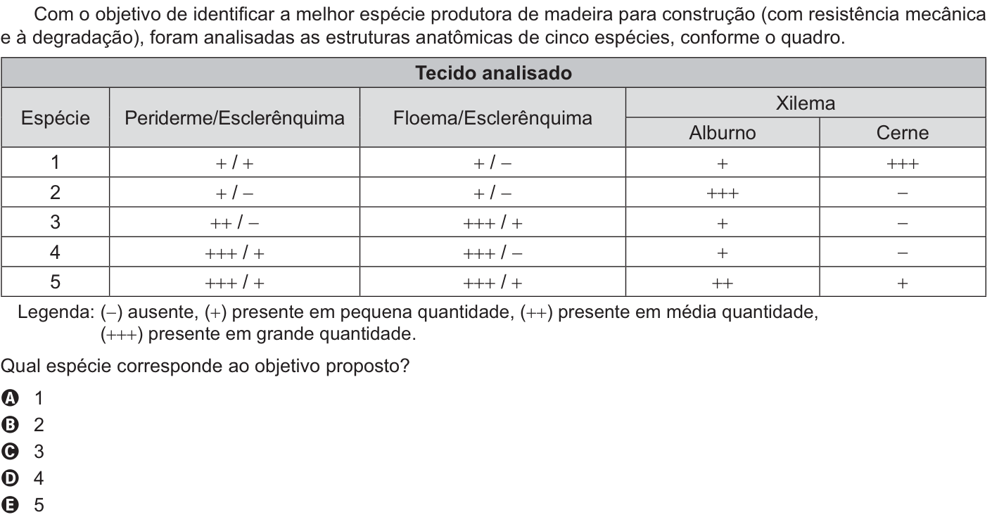 Questão 119 no caderno Amarelo do ENEM 2021