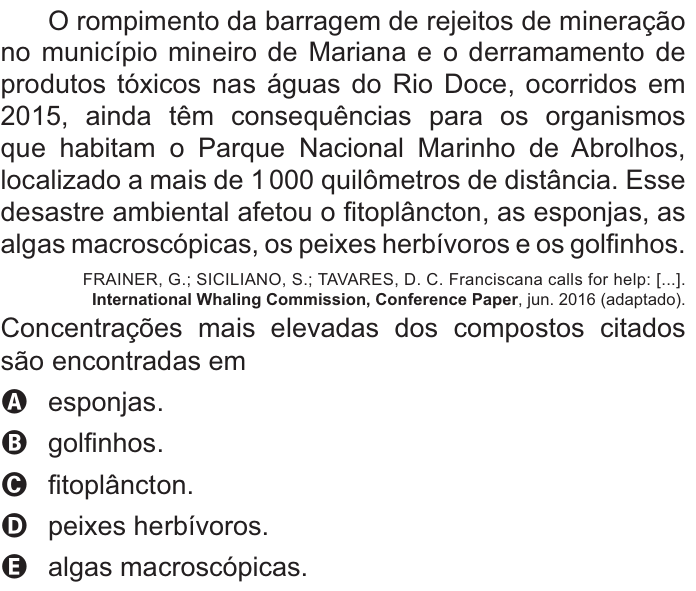 Questão 104 no caderno Amarelo do ENEM 2021