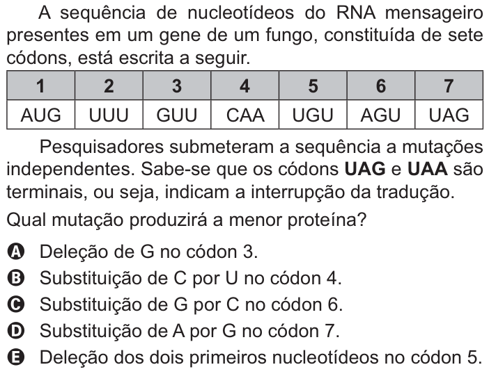 Questão 96 no caderno Amarelo do ENEM 2021