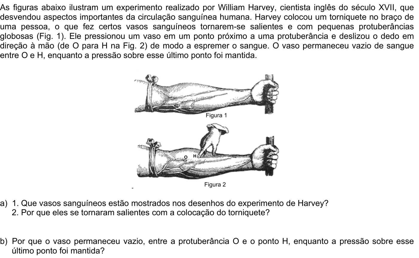 Questão B02 no caderno Biologia da 2ª fase da FUVEST 2007