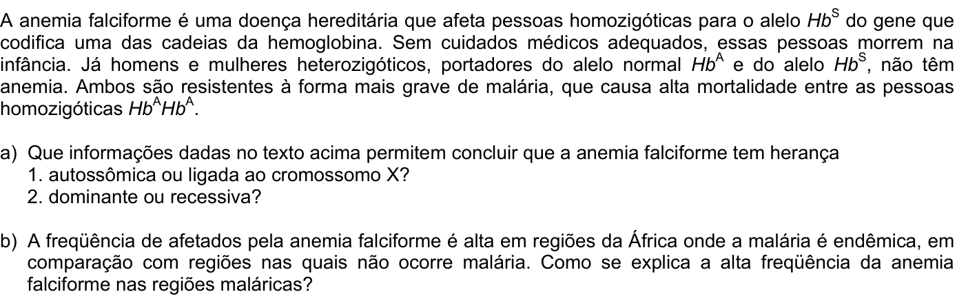 Questão B04 no caderno Biologia da 2ª fase da FUVEST 2007