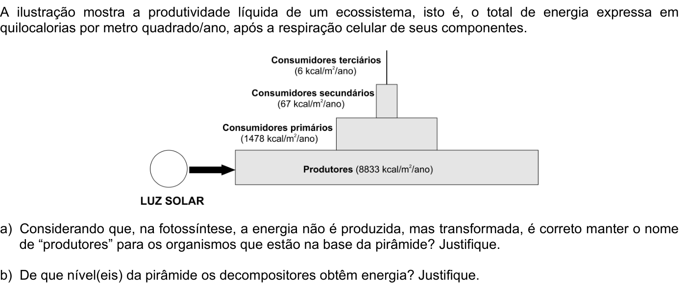 Questão B09 no caderno Biologia da 2ª fase da FUVEST 2007