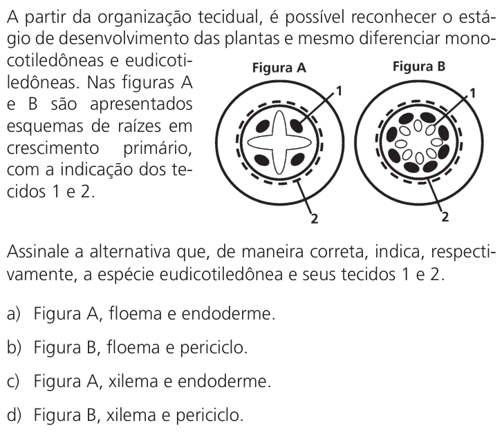 Questão 47 no caderno Q da UNICAMP 2024