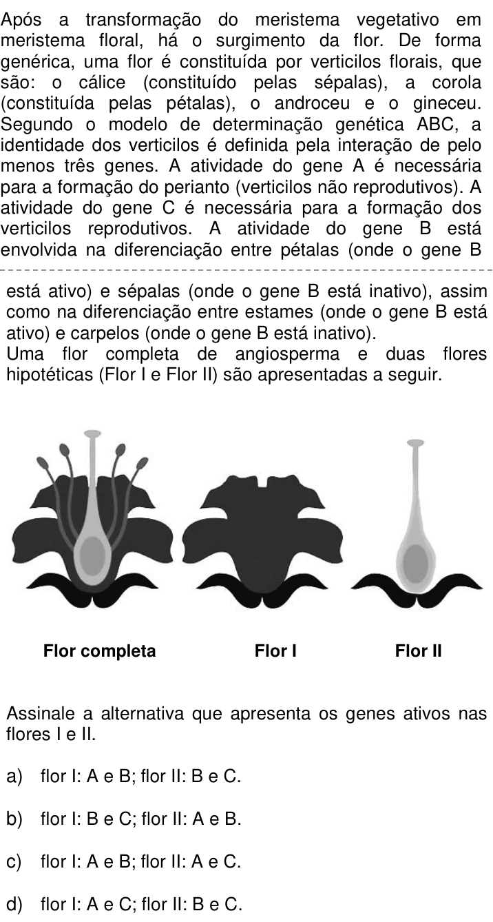 Questão 66 no caderno Q da UNICAMP 2022