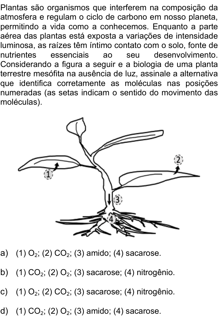 Questão 21 no caderno Q da UNICAMP 2021