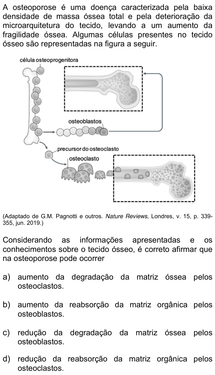 Questão 23 no caderno Q da UNICAMP 2021