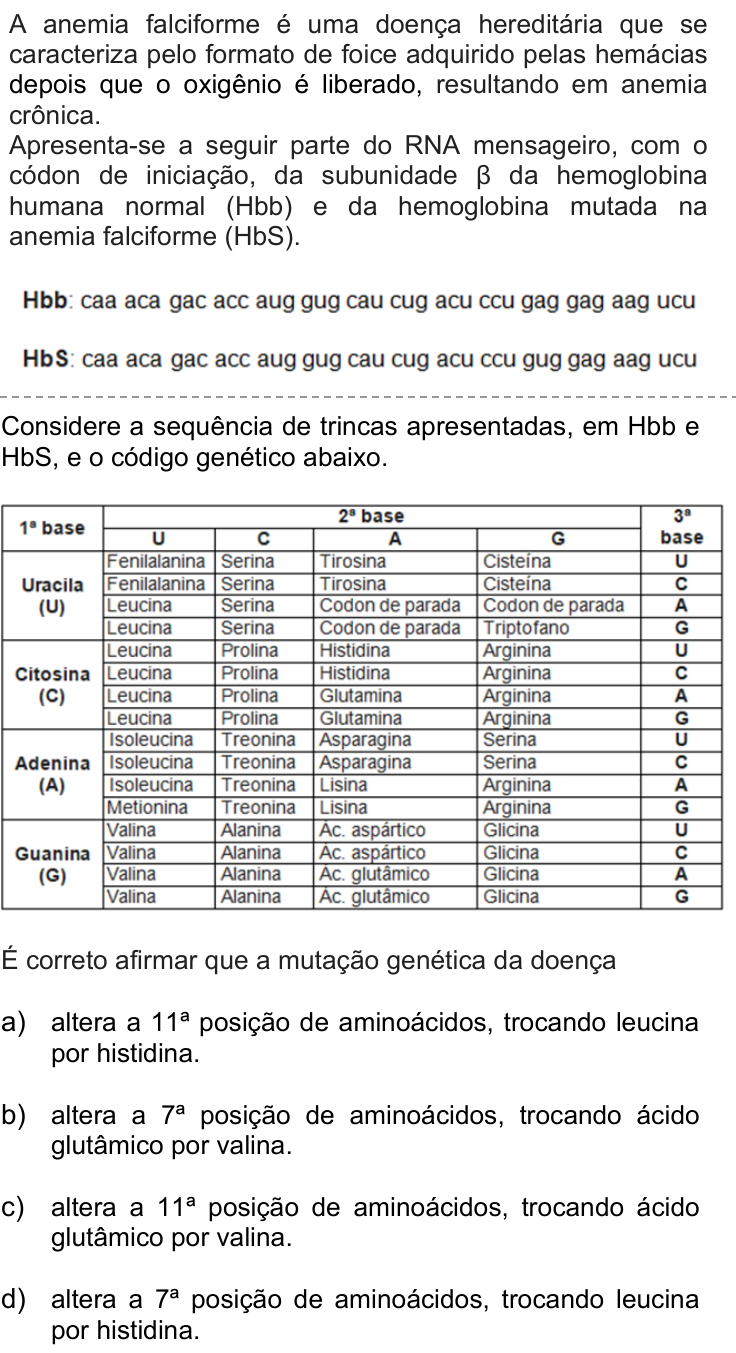 Questão 27 no caderno Q da UNICAMP 2021