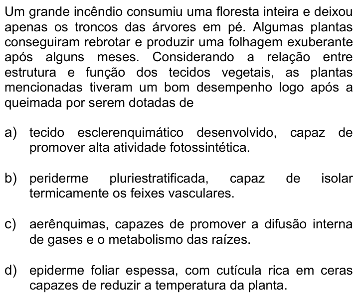 Questão 13 no caderno Q da UNICAMP 2020