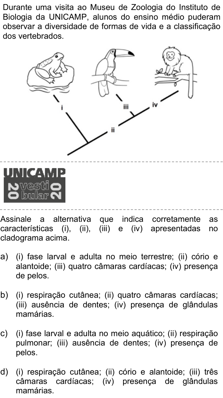 Questão 14 no caderno Q da UNICAMP 2020