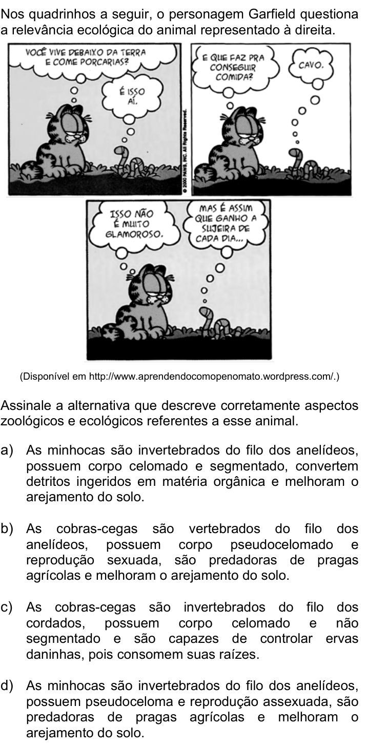 Questão 47 no caderno Q da UNICAMP 2019