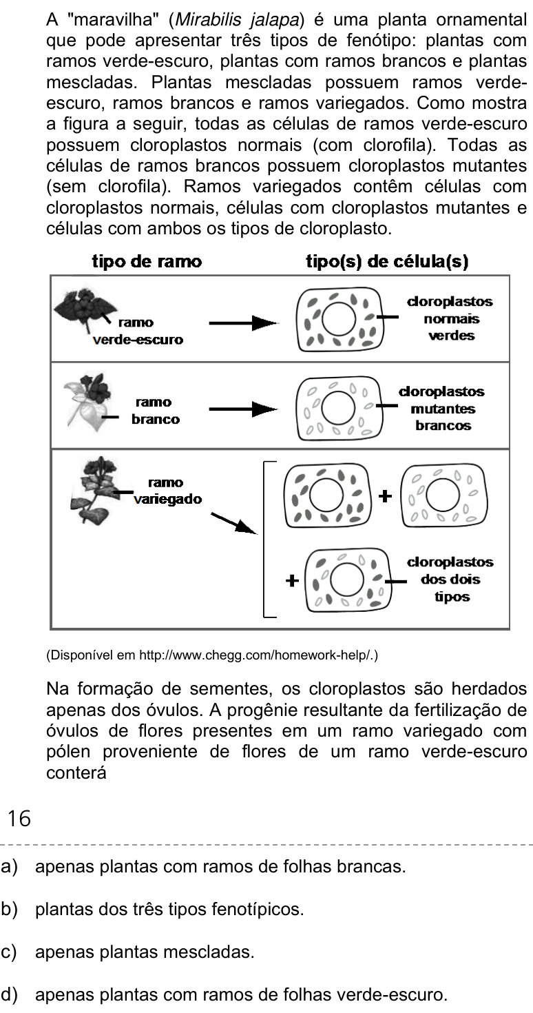 Questão 49 no caderno Q da UNICAMP 2019