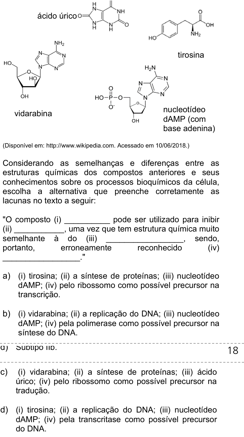 Questão 55 no caderno Q da UNICAMP 2019