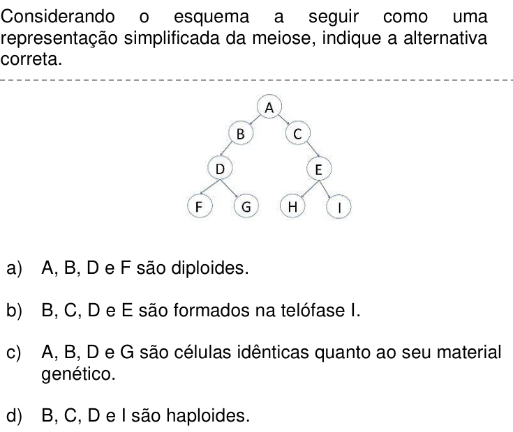 Questão 40 no caderno Q da UNICAMP 2017