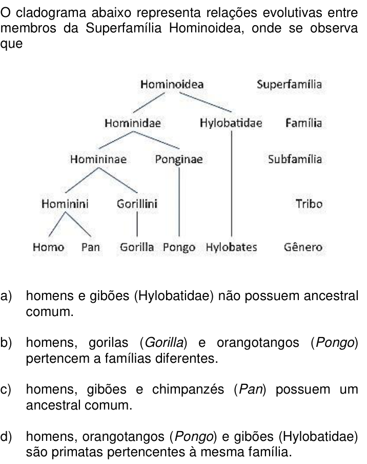 Questão 43 no caderno Q da UNICAMP 2017