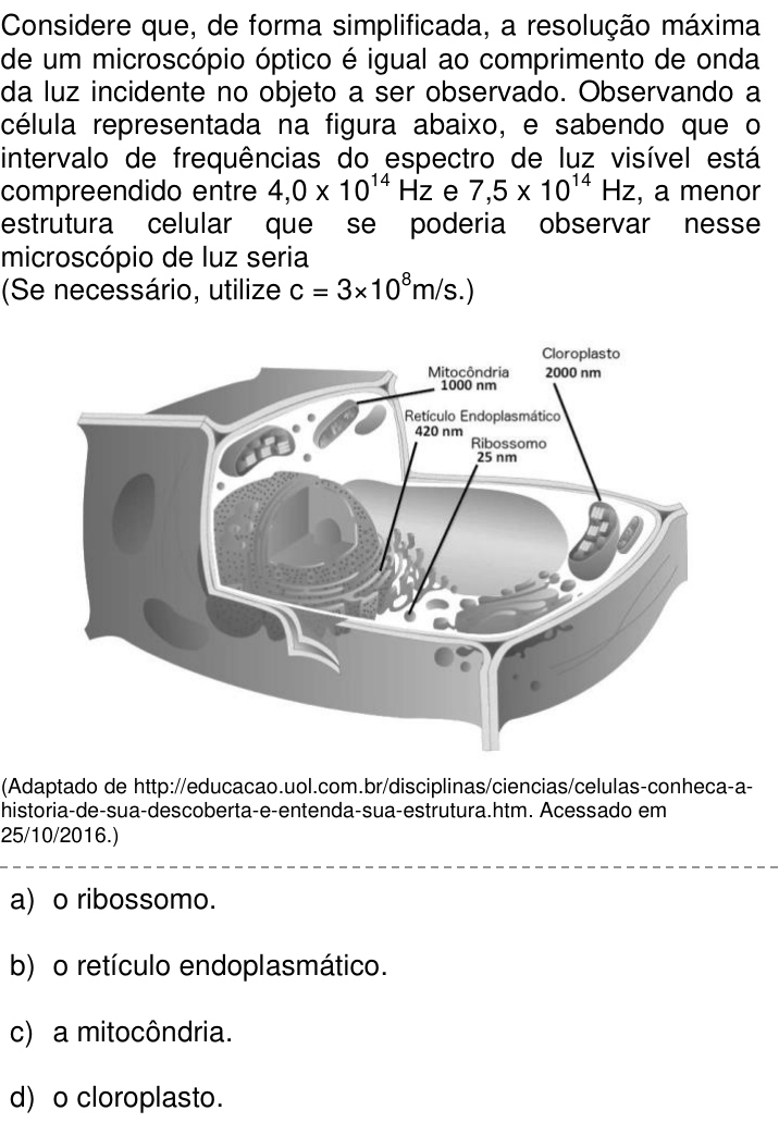 Questão 64 no caderno Q da UNICAMP 2017