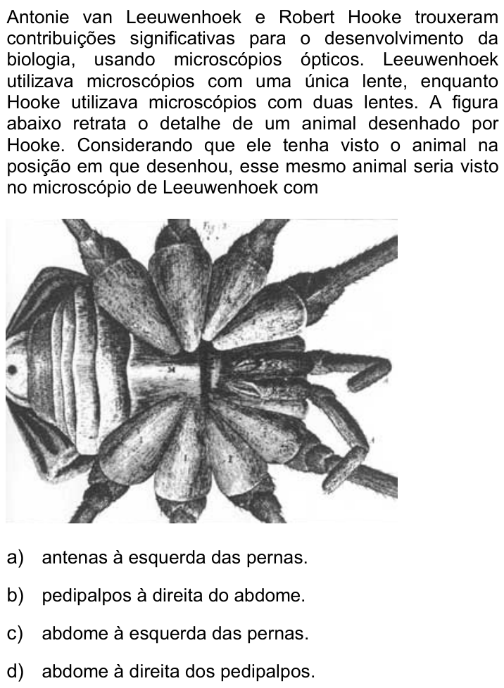 Questão 11 no caderno Q da UNICAMP 2016