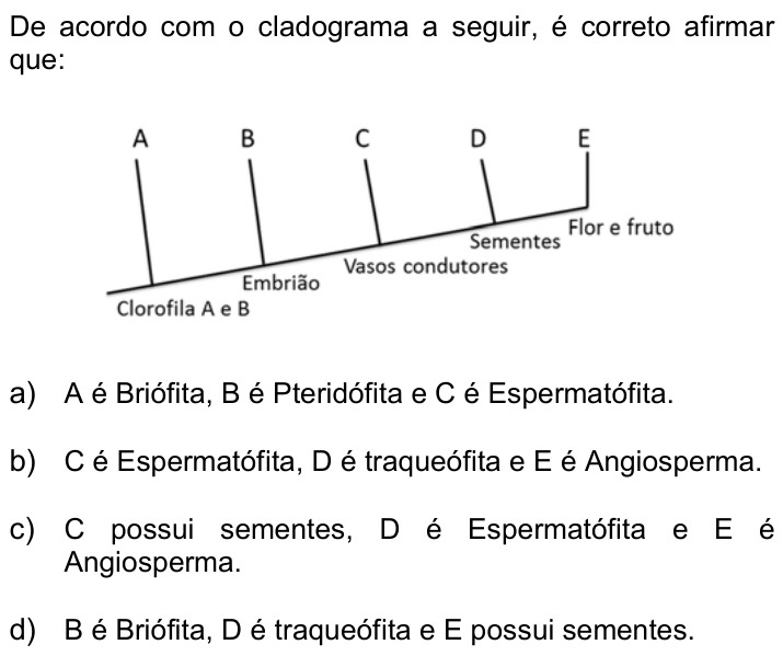 Questão 12 no caderno Q da UNICAMP 2016
