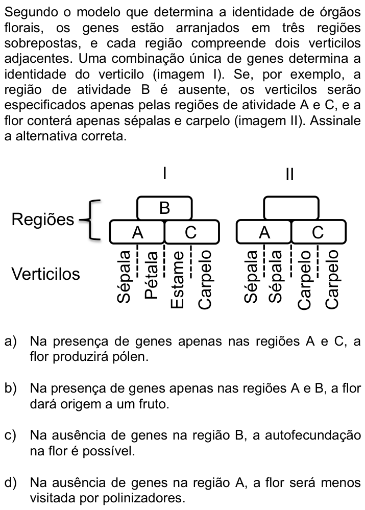 Questão 15 no caderno Q da UNICAMP 2016