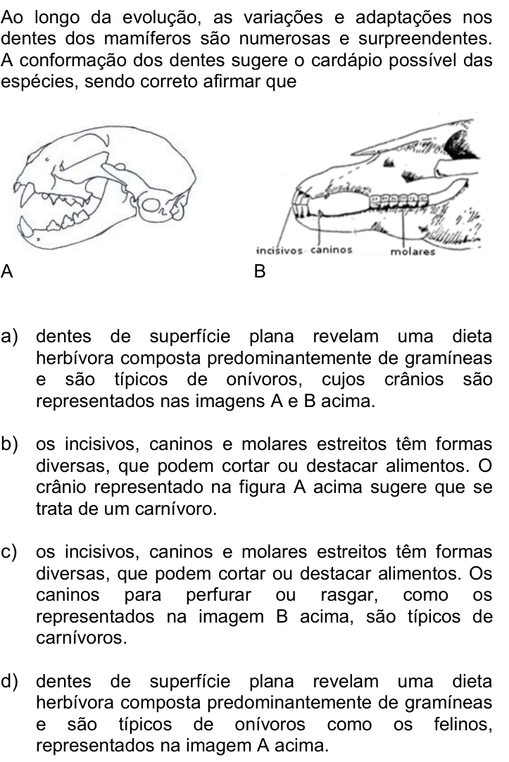 Questão 17 no caderno Q da UNICAMP 2016