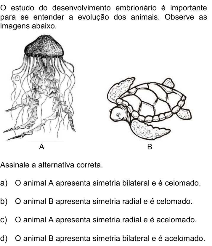 Questão 41 no caderno Q da UNICAMP 2015