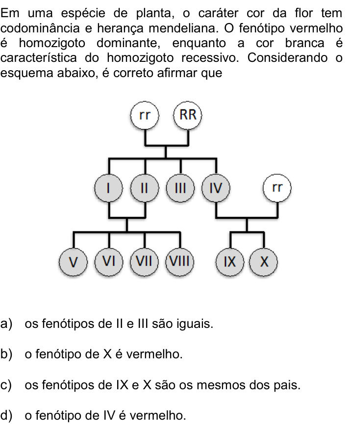 Questão 45 no caderno Q da UNICAMP 2015