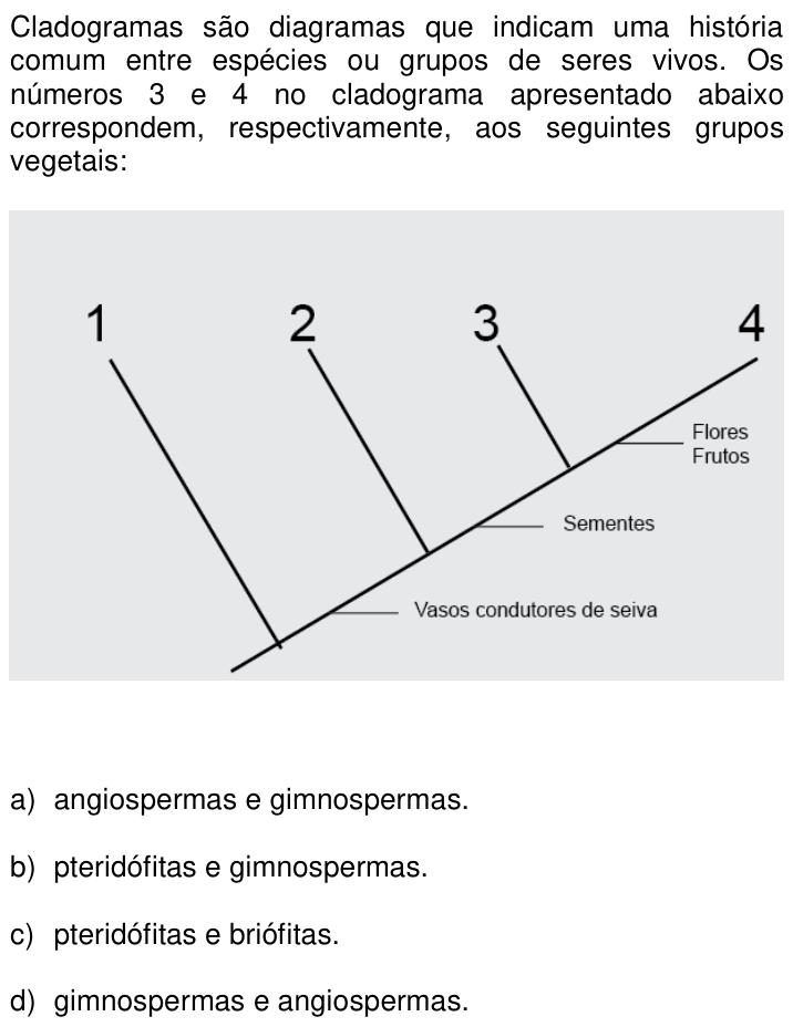 Questão 24 no caderno Q da UNICAMP 2014