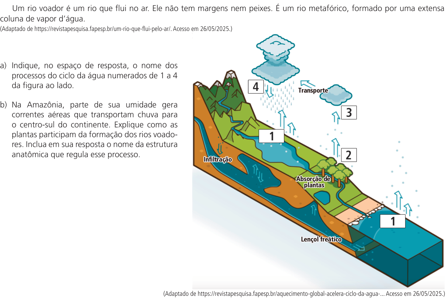 Questão 8 no caderno CB da 2ª fase da UNICAMP 2026
