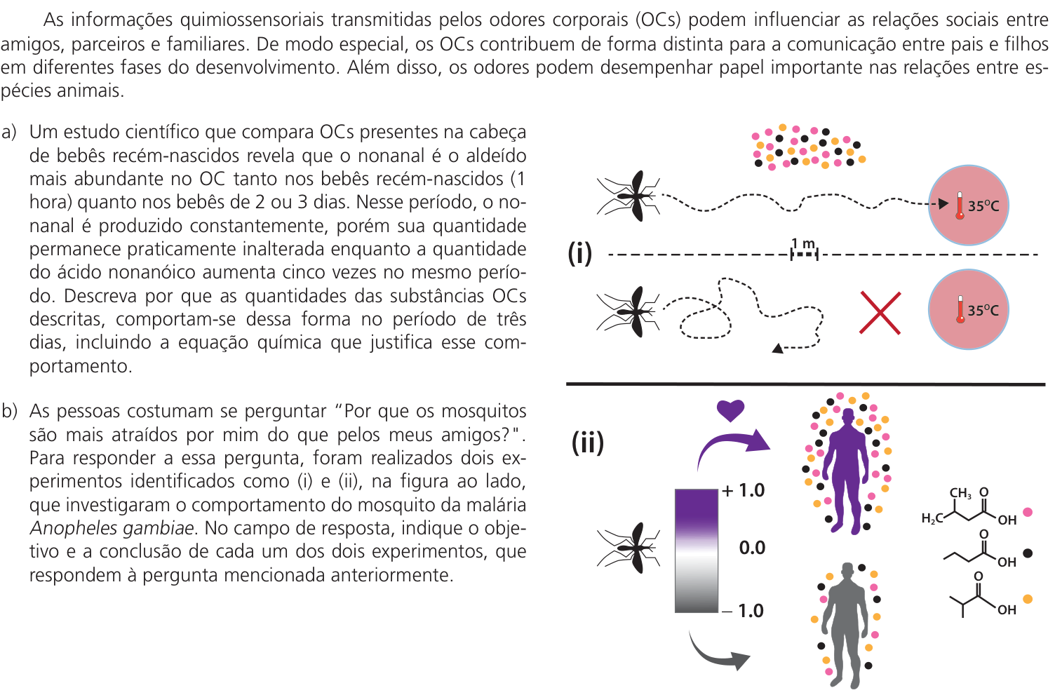 Questão 15 no caderno CB da 2ª fase da UNICAMP 2026