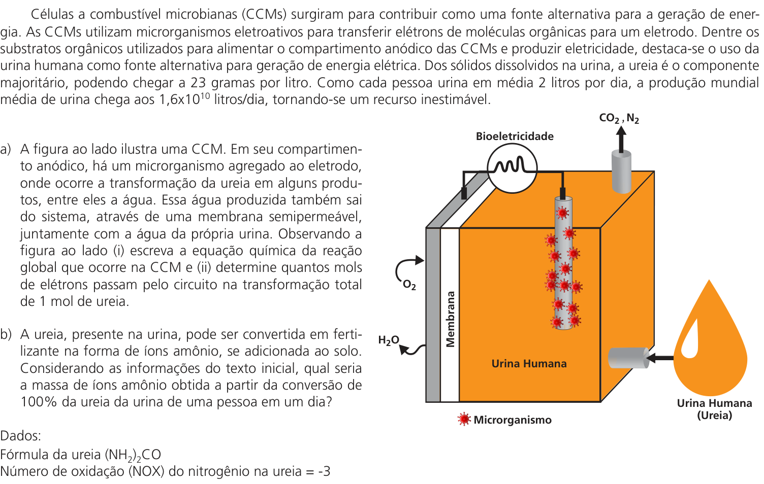 Questão 17 no caderno CB da 2ª fase da UNICAMP 2025