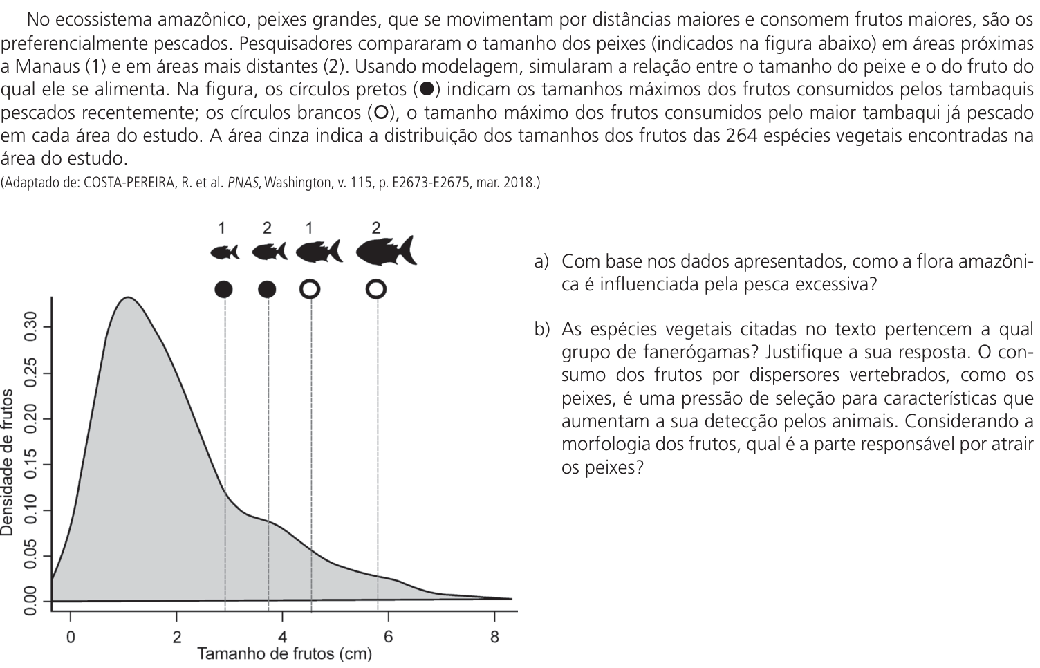 Questão 8 no caderno CB da 2ª fase da UNICAMP 2024