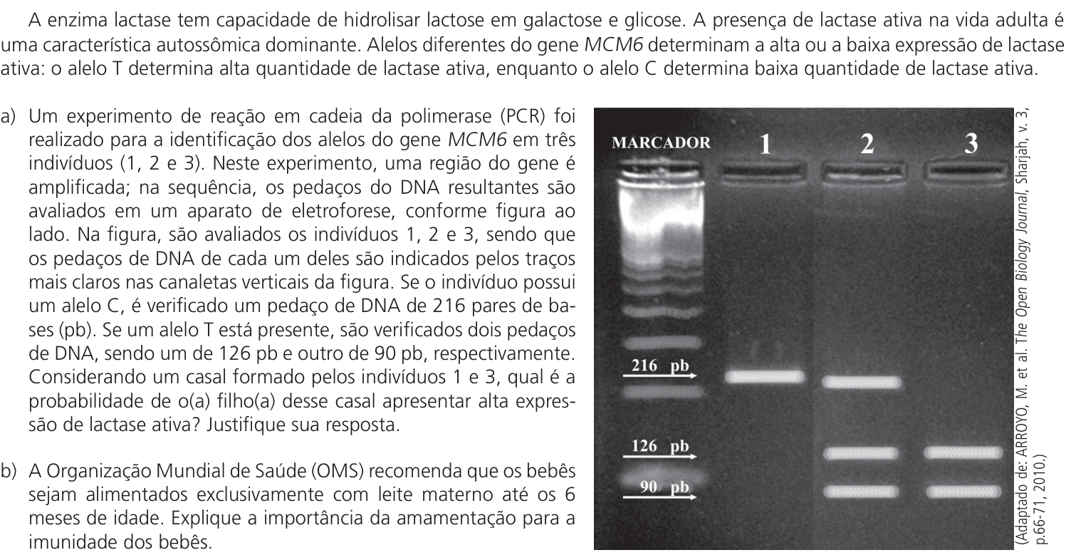 Questão 9 no caderno CB da 2ª fase da UNICAMP 2024