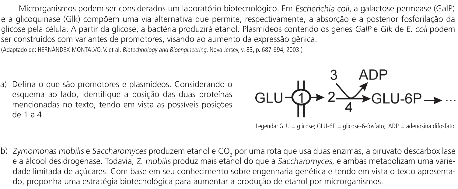 Questão 10 no caderno CB da 2ª fase da UNICAMP 2024